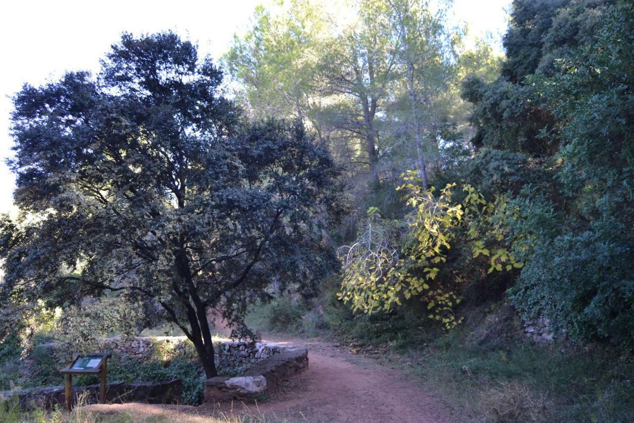 Ferienwohnung La Coveta Rural Vilafames Exterior foto